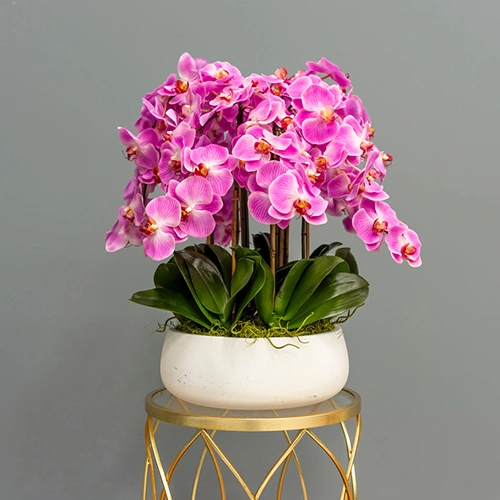 Mini Banner Position 5