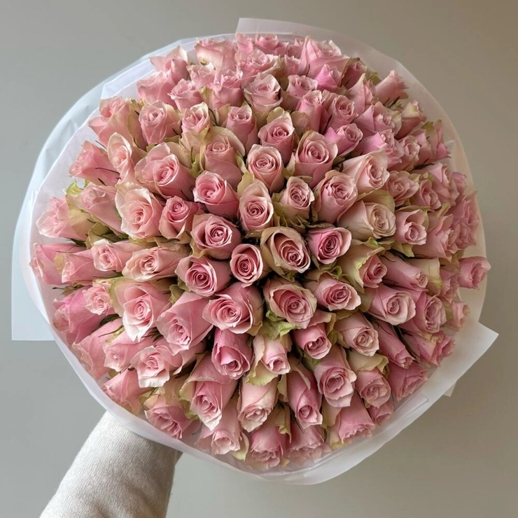 Blush Symphony Pink Roses