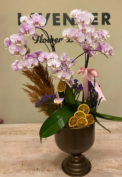 Decorium Deluxe Orkide