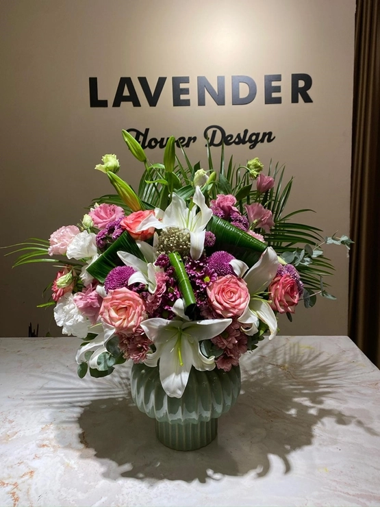 Definition Of Emotions