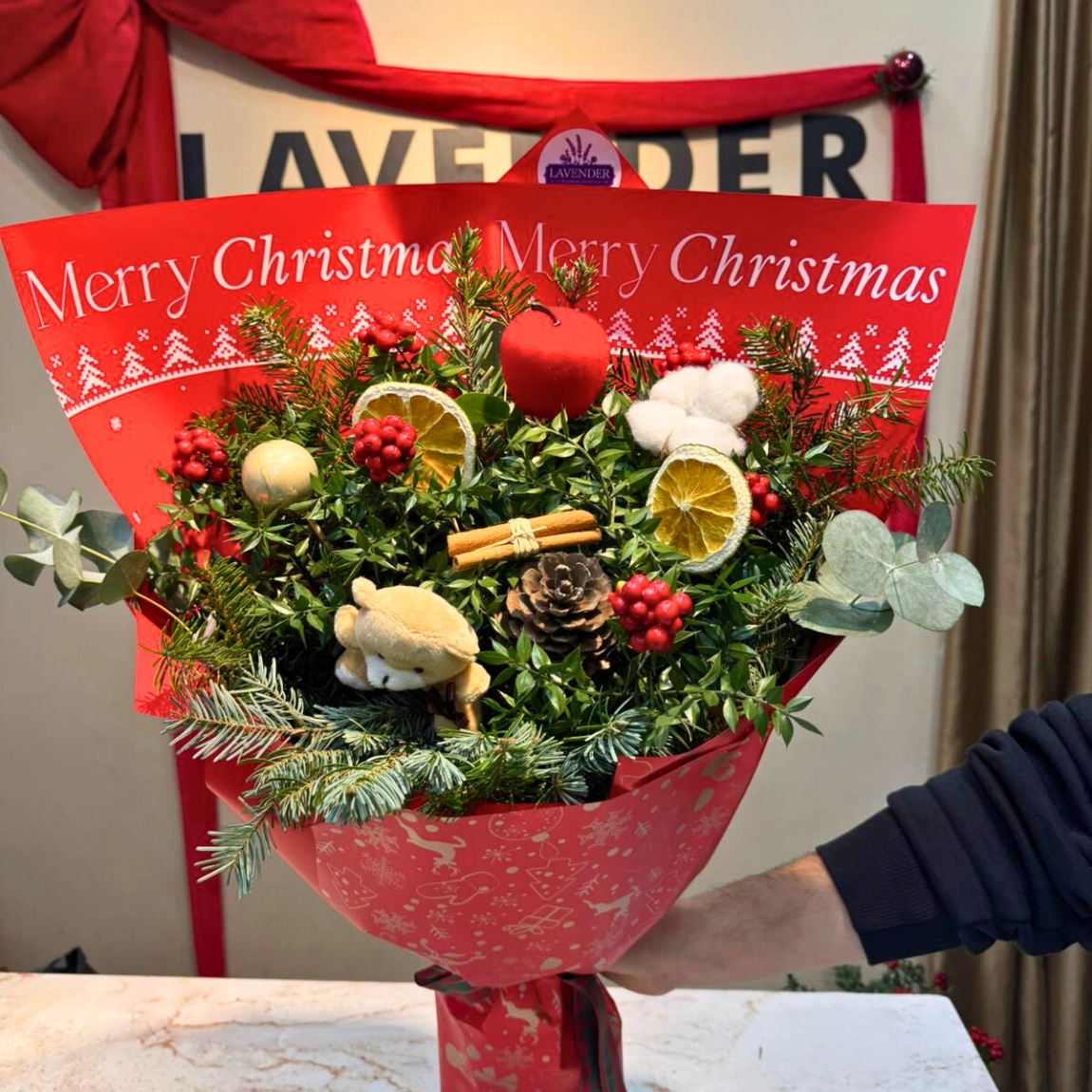 Kokina Ve Kozalaklar