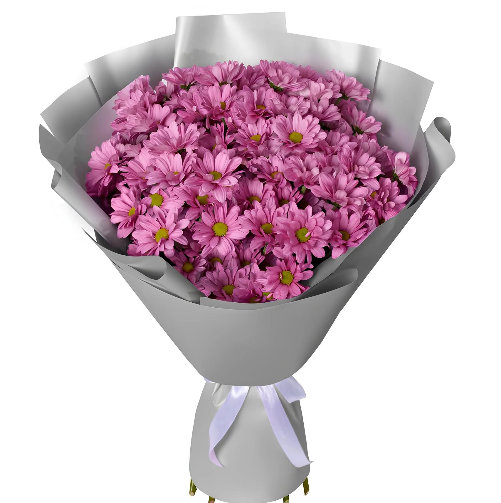 Pink Dreams Papatyalar