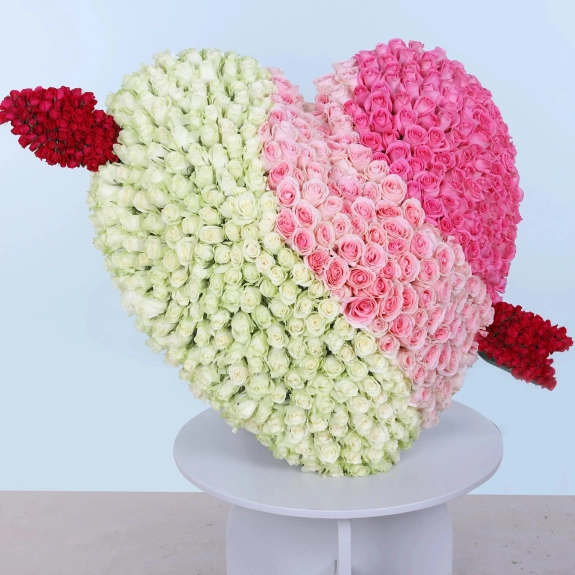 A Dozen Dreams Güller