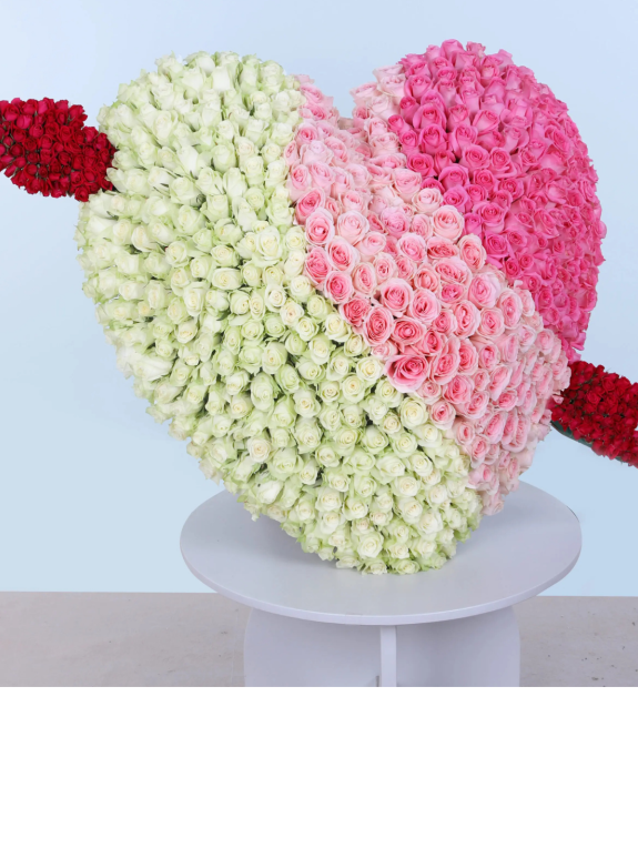 A Dozen Dreams Güller