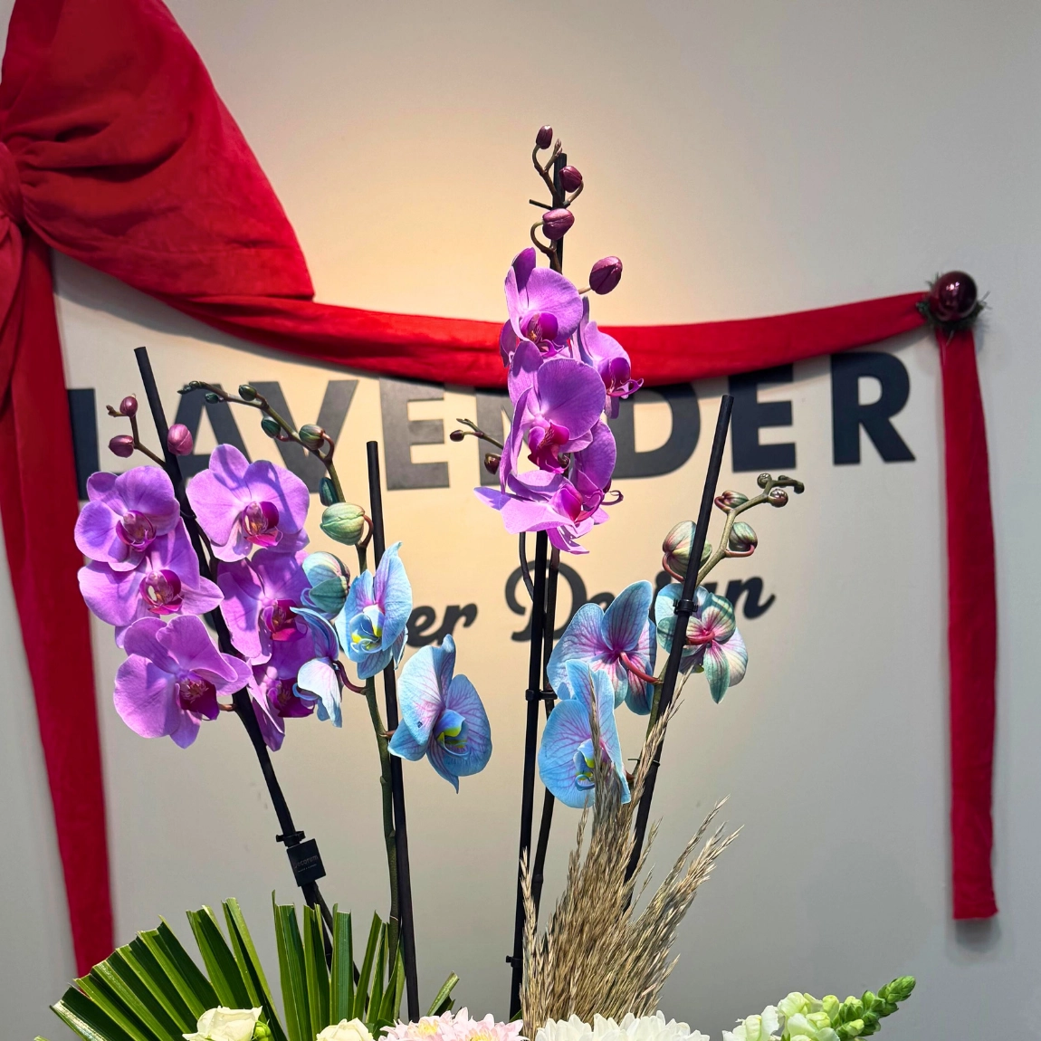 Artemis Orkide Arajmanı