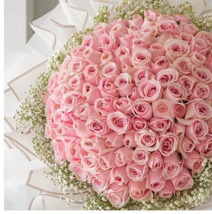 Athena Royal Pink Roses