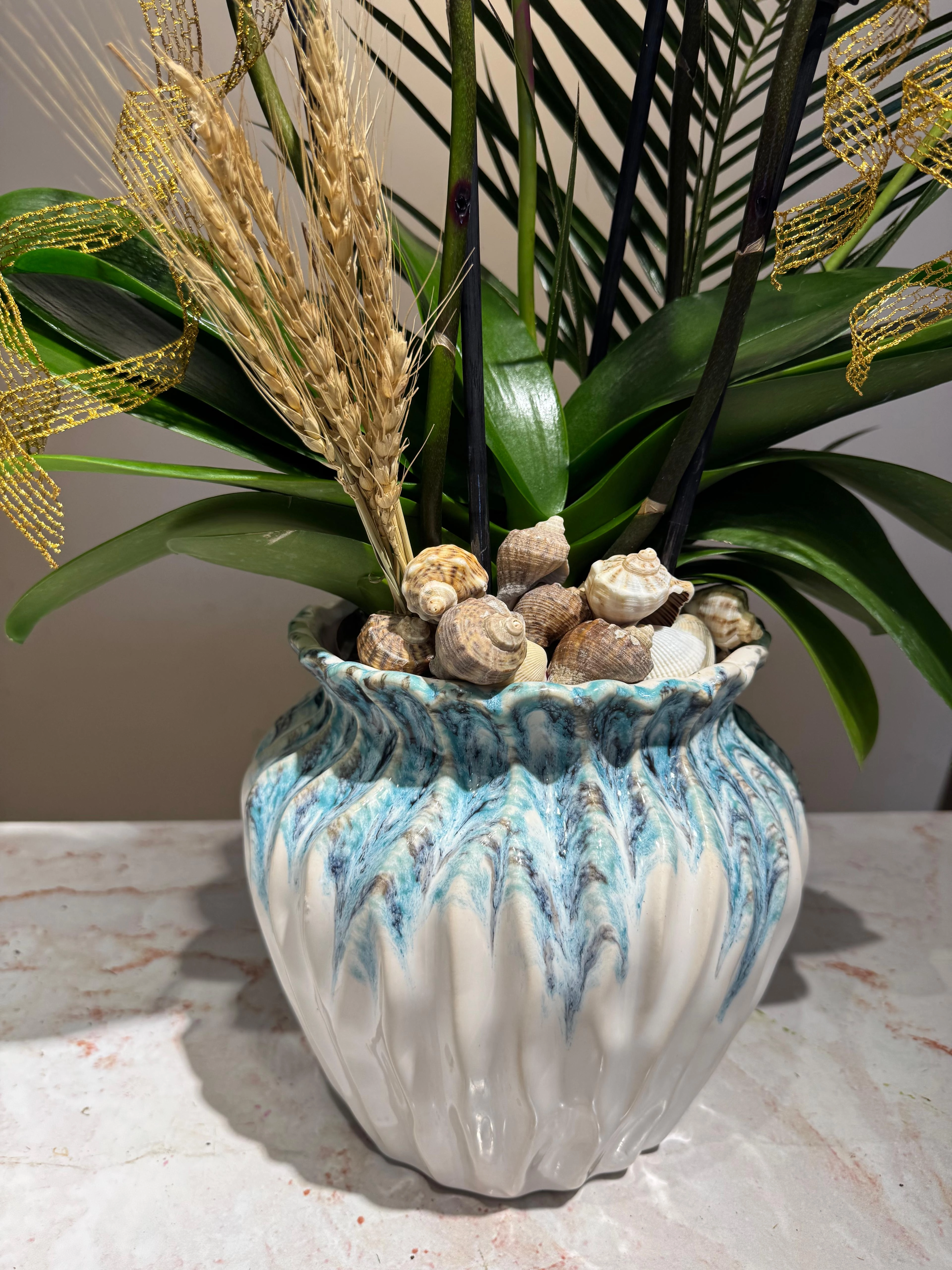 Blue Dream Orkideler