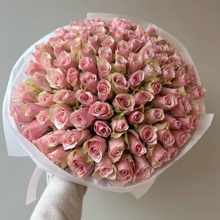 Blush Symphony Pink Roses
