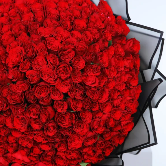 Chromatic Balance Güller