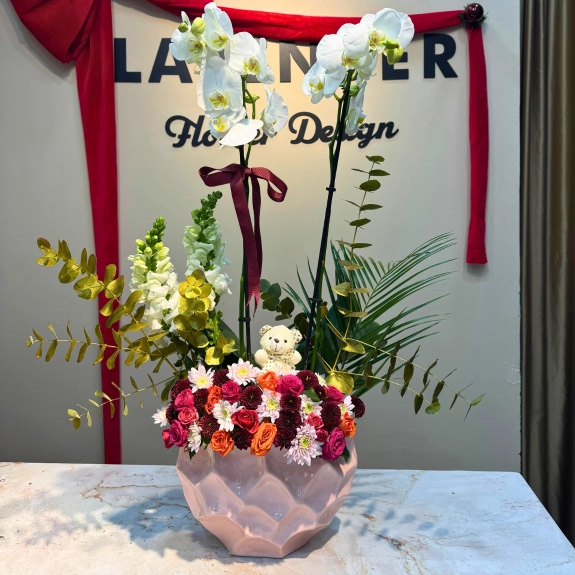 Classic Orkide Pearl