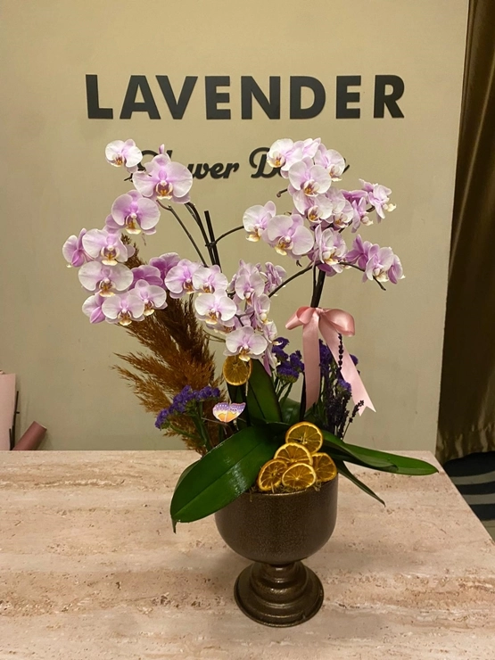 Decorium Deluxe Orkide