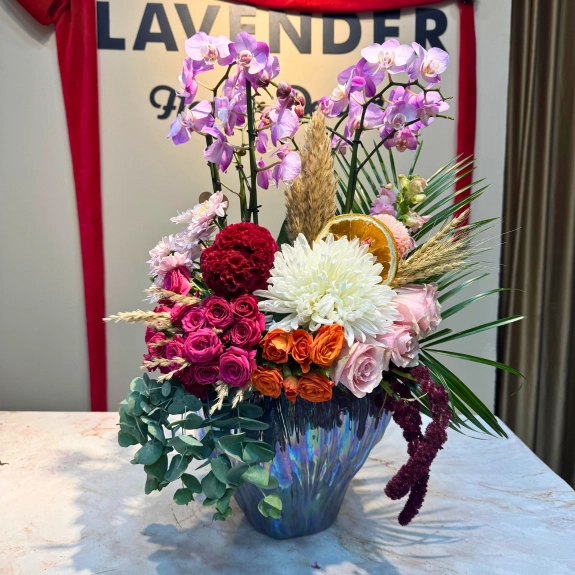 Dendrobium Sun Orkide