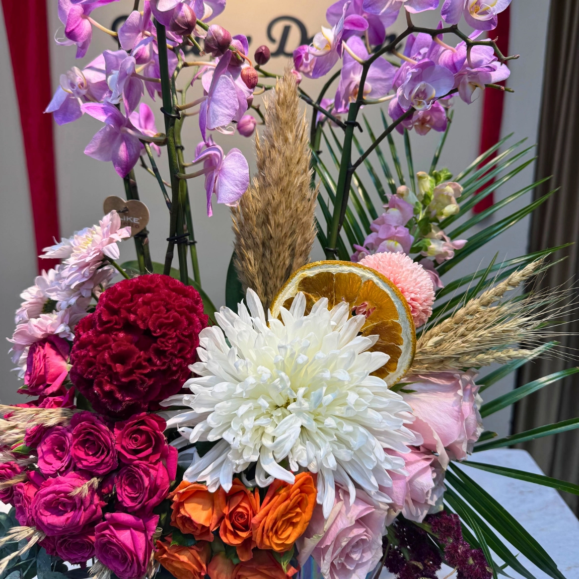 Dendrobium Sun Orkide