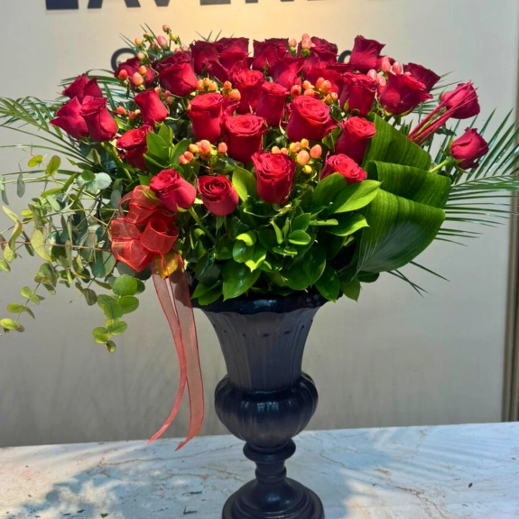 Elysian Spirit Güller