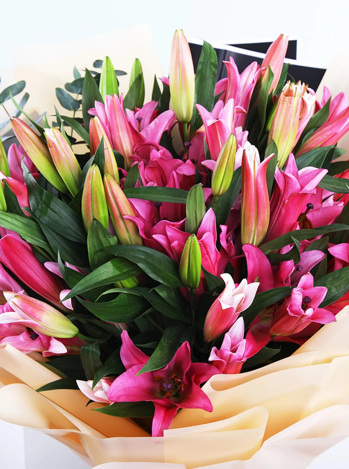 Eternal Bloom Lilyumlar