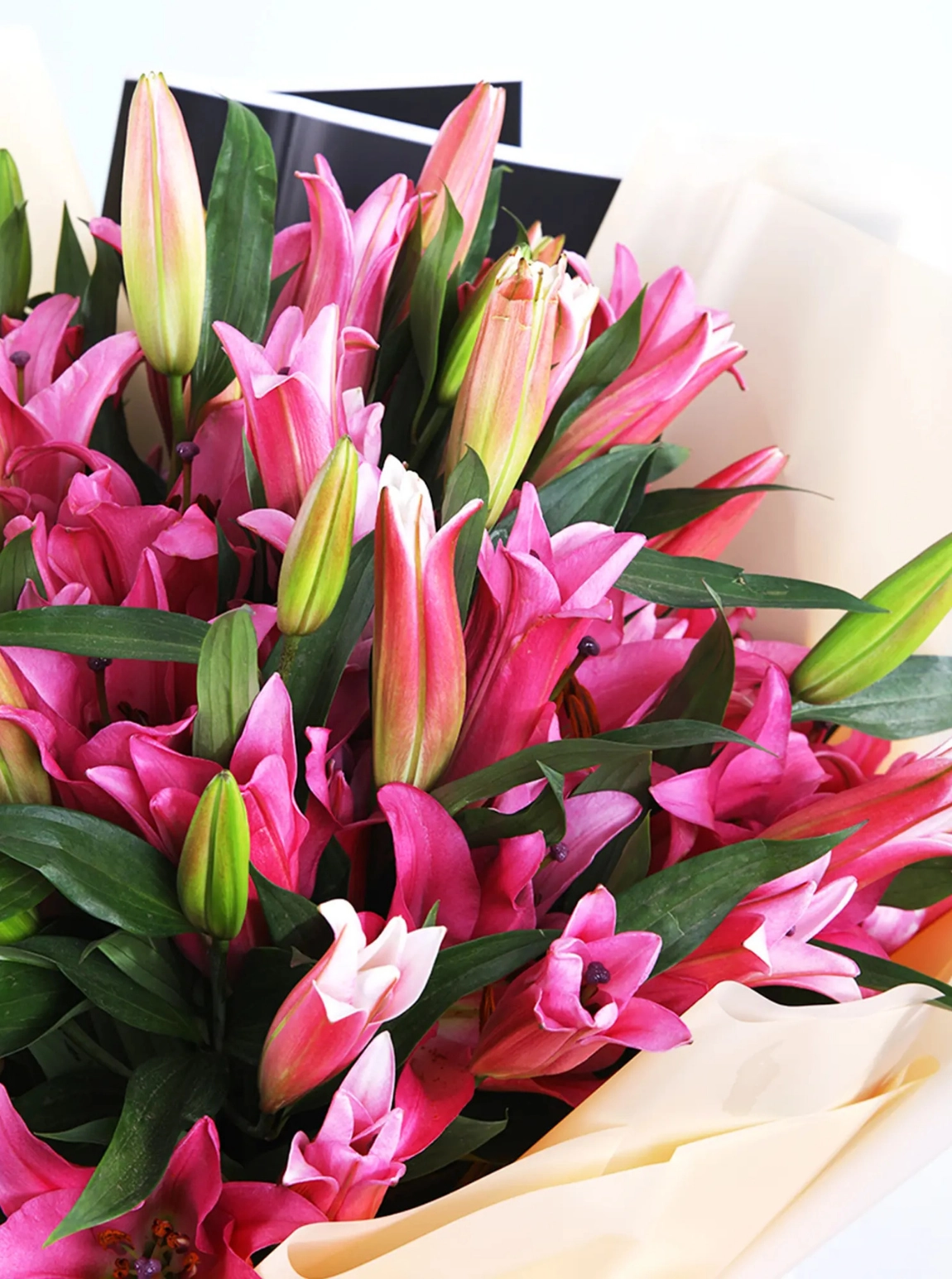 Eternal Bloom Lilyumlar