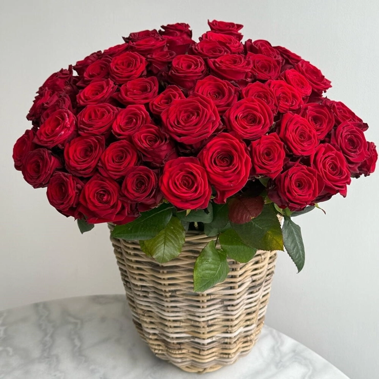 Eternal Passion Roses