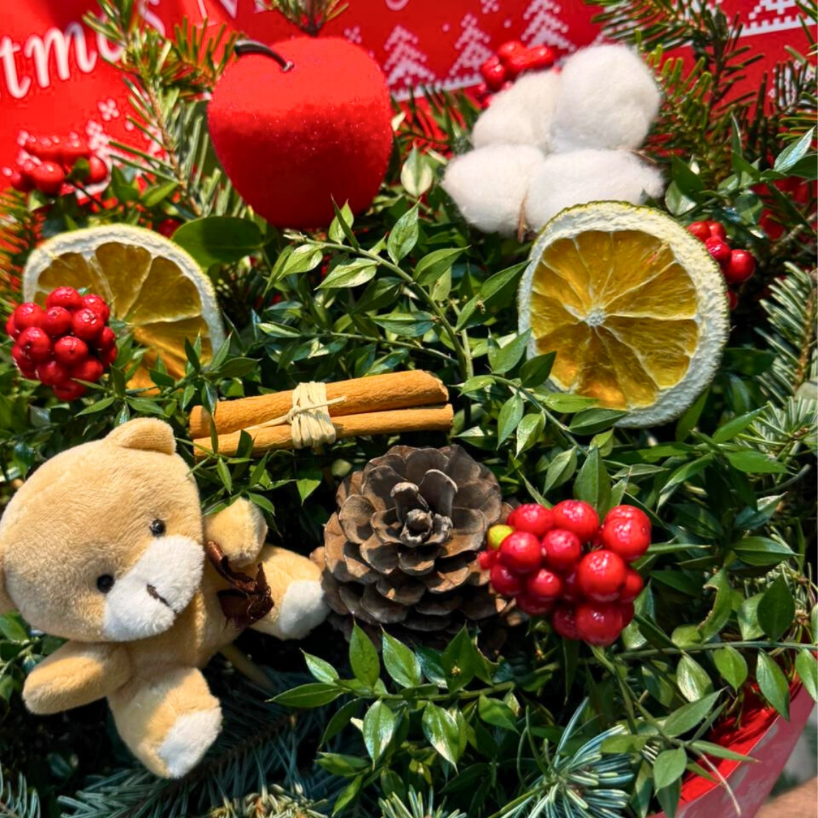 Kokina Ve Kozalaklar