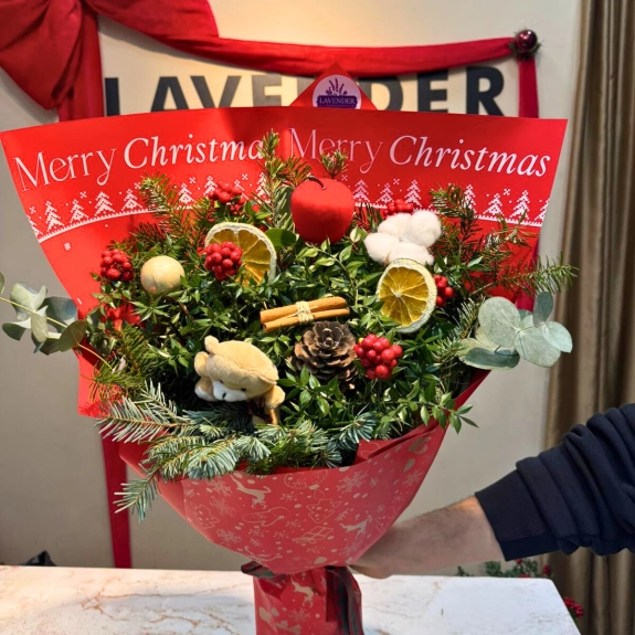 Kokina Ve Kozalaklar