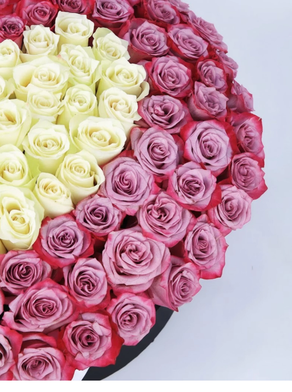 Love's Embrace Güller