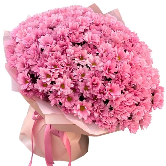 Luxurious Pink Daisies