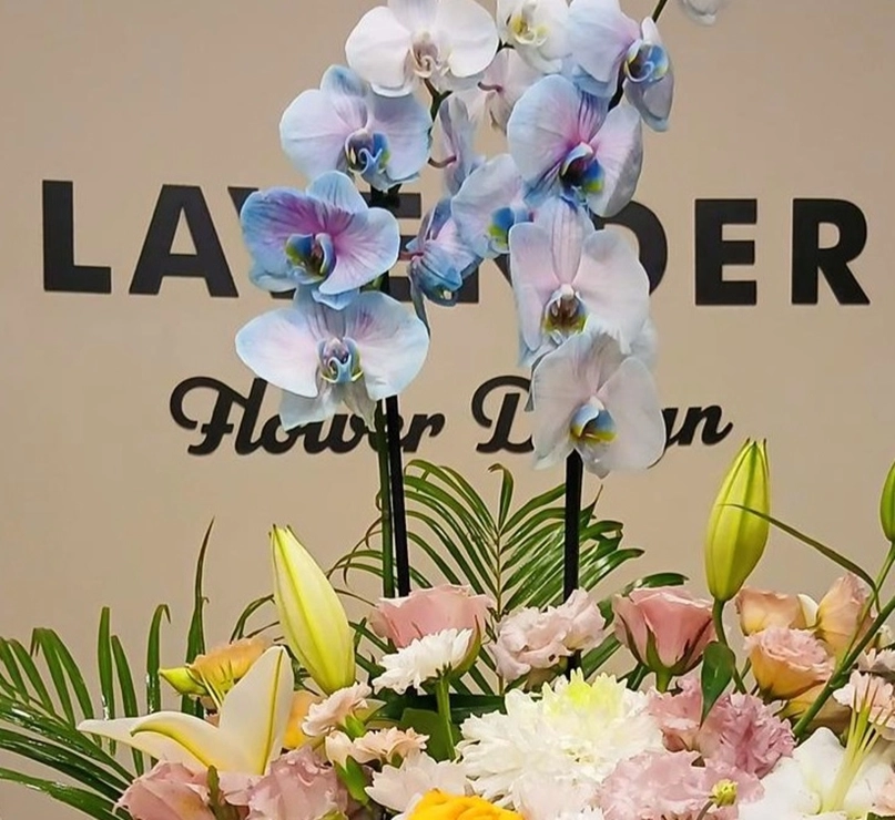 Luxury Orkide Arrangement