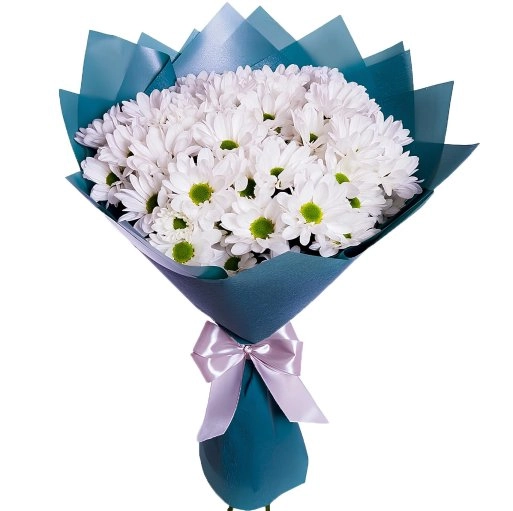 White Dream Papatyalar