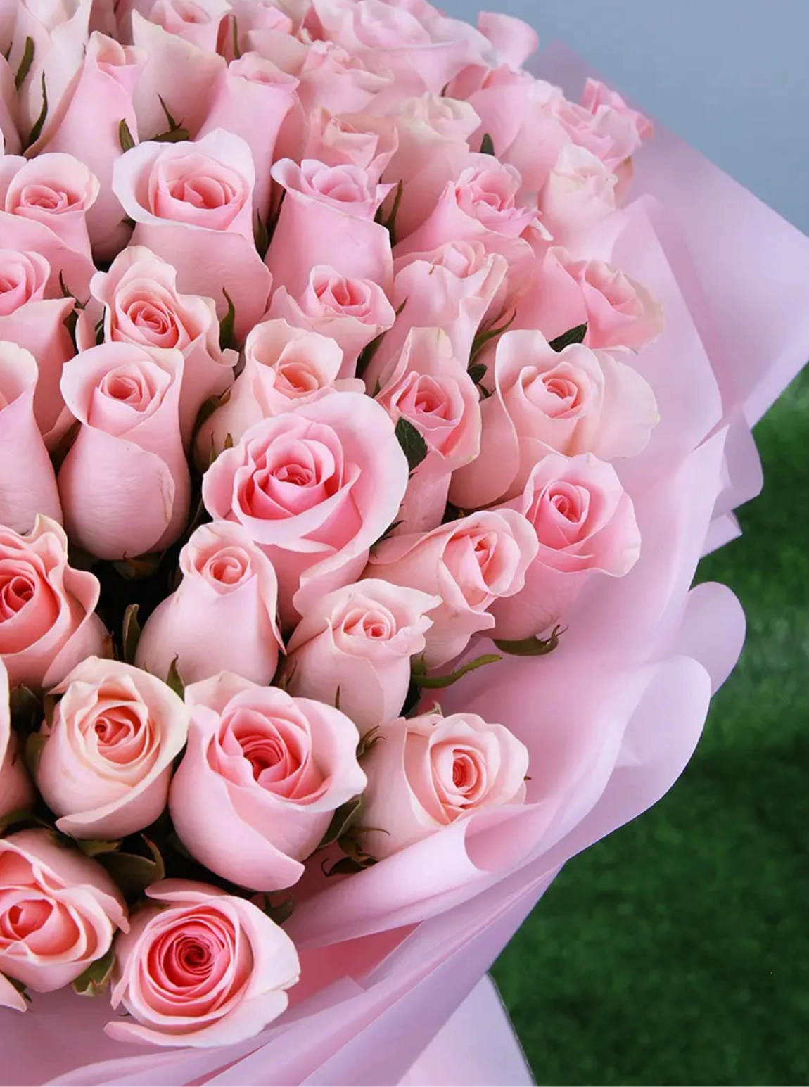 Opulent Aura Güller