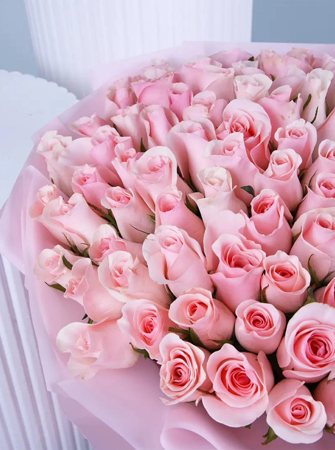 Opulent Aura Güller