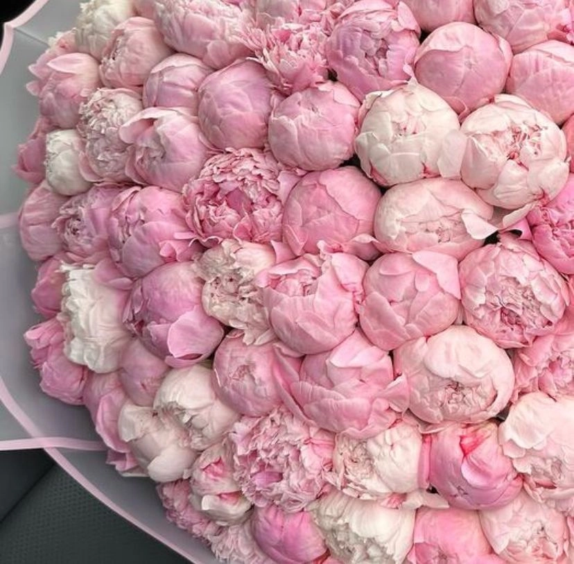 Pink Dreams Şakayık Buketı