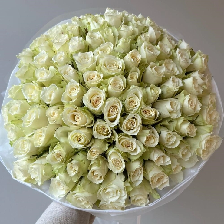 Pure Days White Rose Bouquet