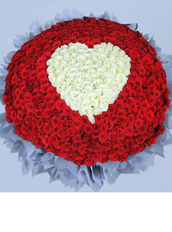 Ruby Red Affair Güller