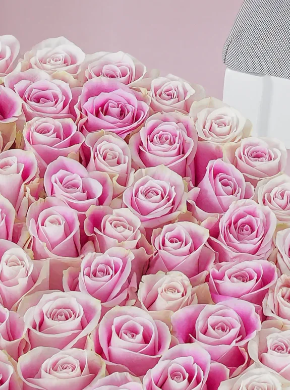 Simply Sublime Güller