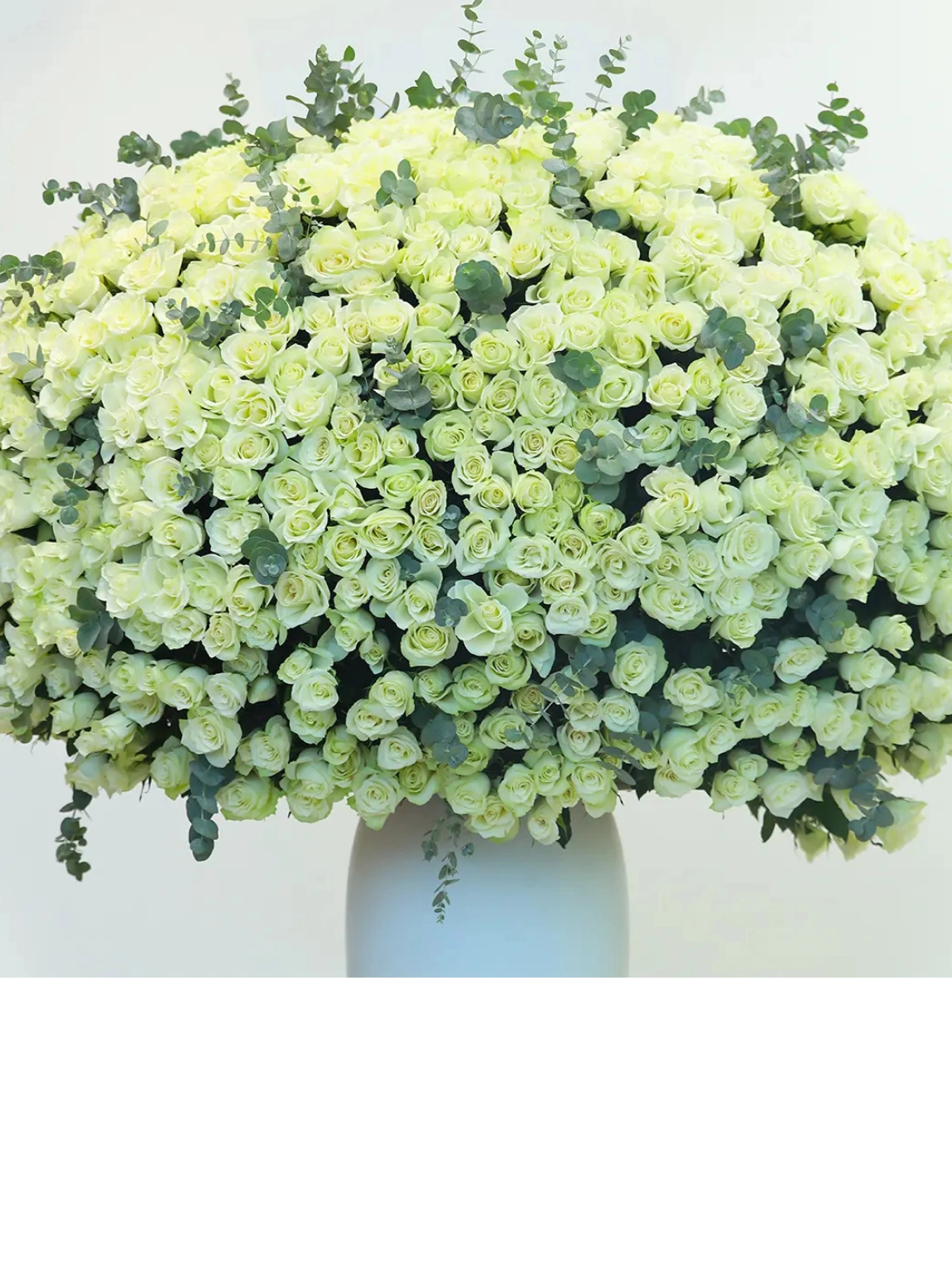 The Royal Touch Güller