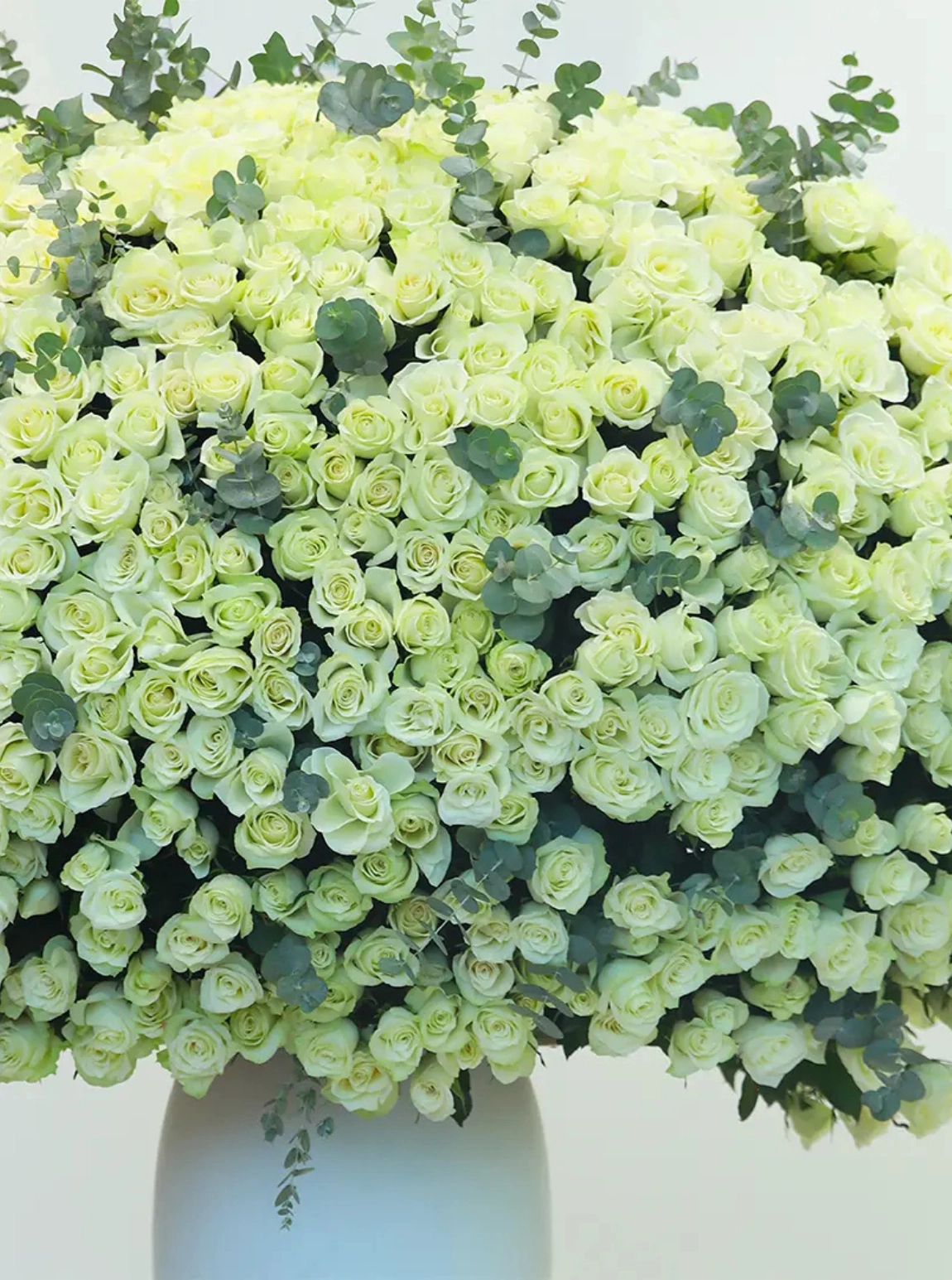 The Royal Touch Güller