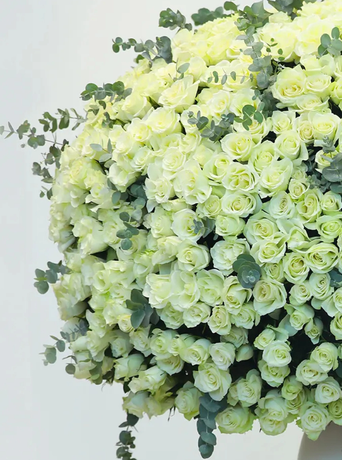 The Royal Touch Güller