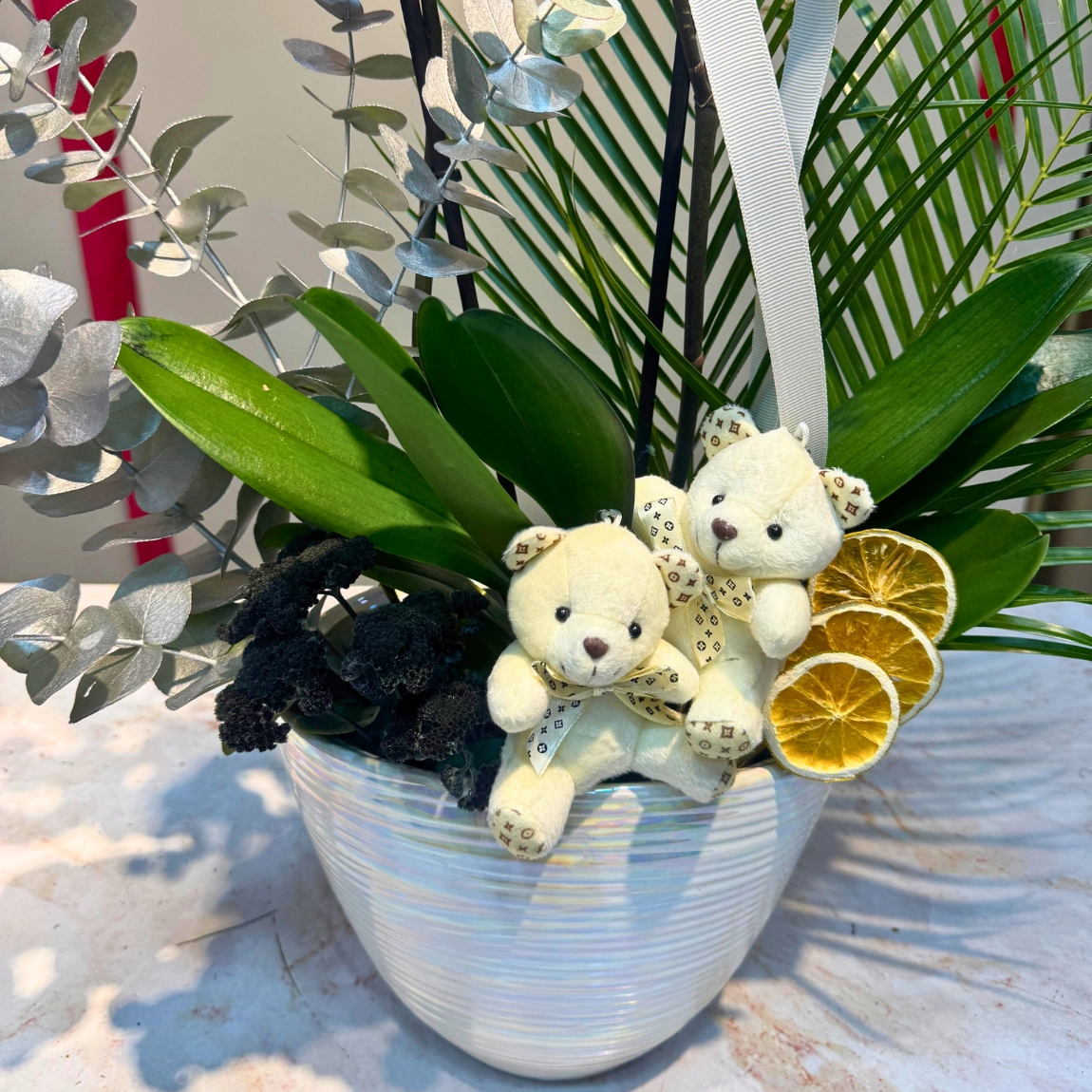 Vanda's Azure Orkide