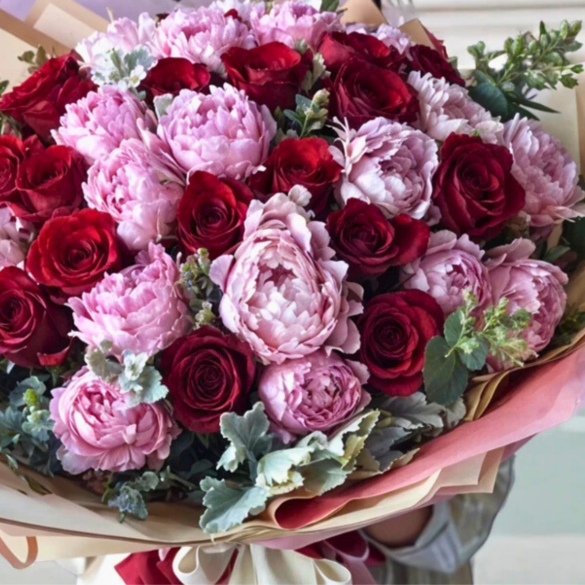 Velvet Love Şakayık