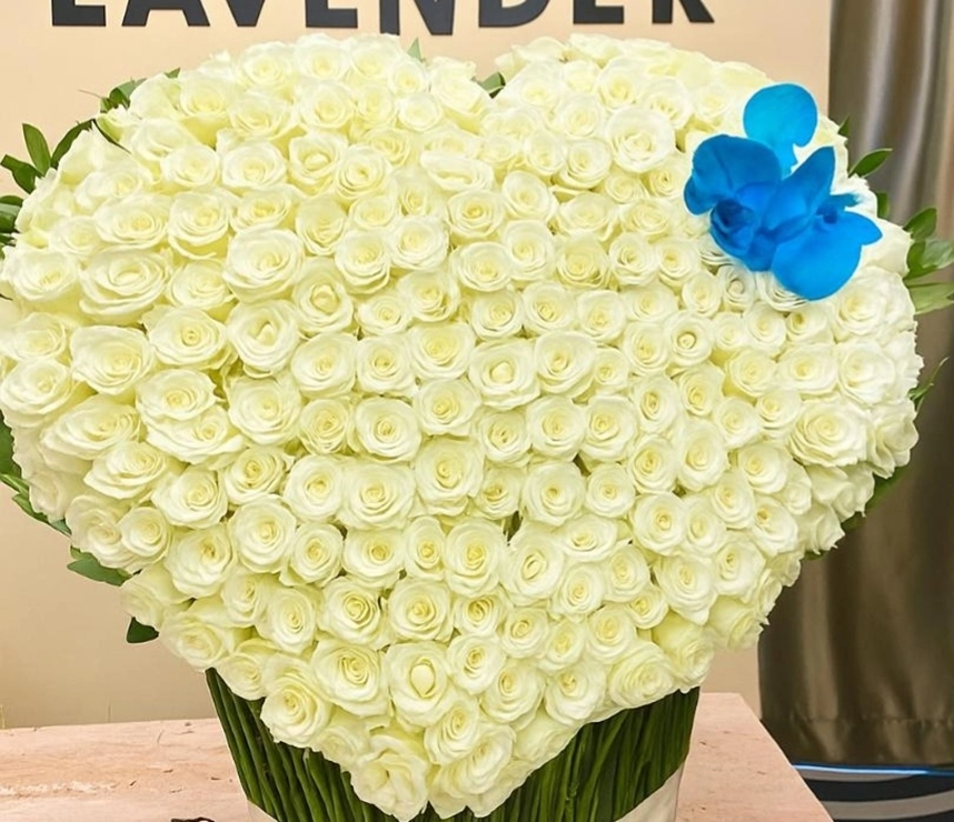White Giant Heart Roses